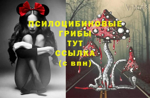 МДМА Козельск