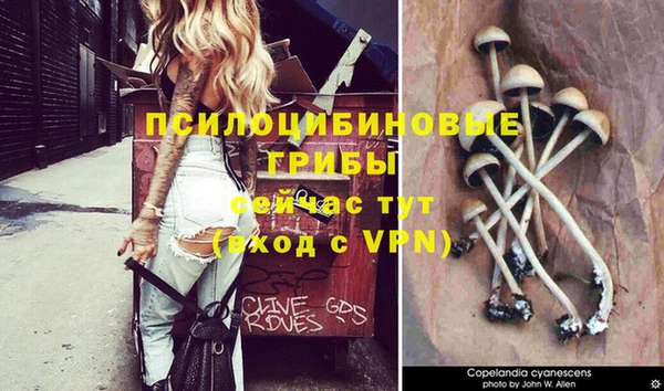 гашик Костерёво
