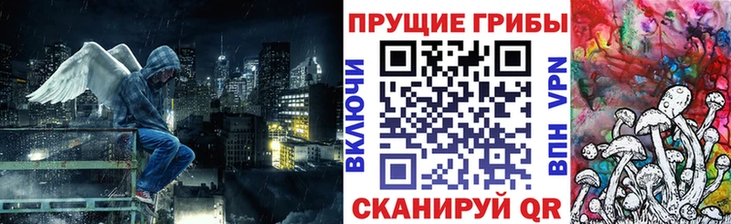 ОМГ ОМГ вход  Яхрома  Галлюциногенные грибы мухоморы 