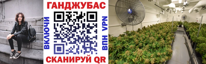 Бошки марихуана THC 21%  Яхрома 
